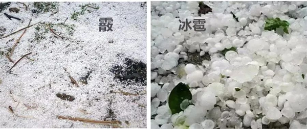 霰怎么讀,霰是什么天氣,霰和雪的區別