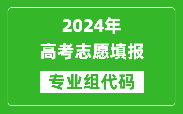 2024年高考志愿填報的專業組代碼是什么意思？