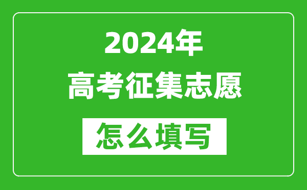 2024年高考征集志愿怎么填寫,征集志愿填報流程與方法