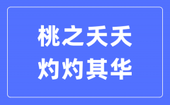 桃之夭夭，灼灼其華是什么意