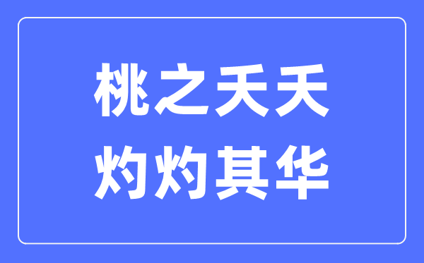 桃之夭夭，灼灼其華是什么意思,桃之夭夭灼灼其華的含義