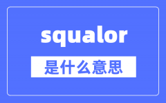 squalor是什么意思_squalor怎么讀_中