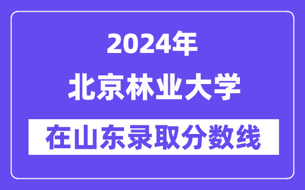 北京林業(yè)大學(xué)2024年在山東錄取分?jǐn)?shù)線一覽表（2025年參考）