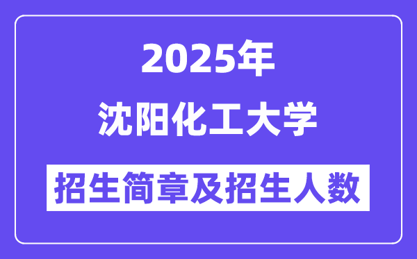 沈陽化工大學2025高考招生簡章,各省招生計劃人數匯總